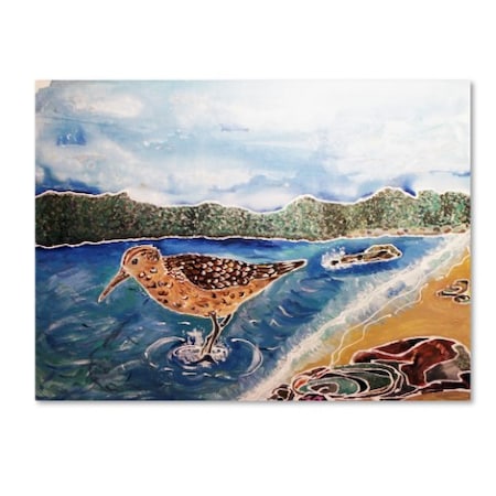 Lauren Moss 'Curlew On The Beach' Canvas Art,14x19